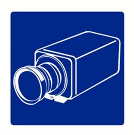 Afbeeldingen van Bewakingscamera vinyl-sticker 200x200mm