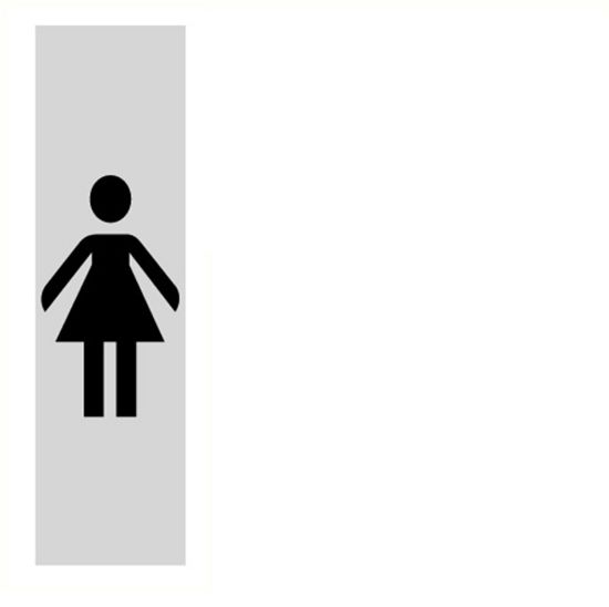 Afbeeldingen van Toilet dames staand alulook 165x45mm