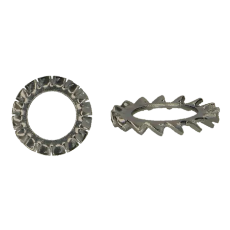 Afbeelding voor categorie Tandveerring din6798