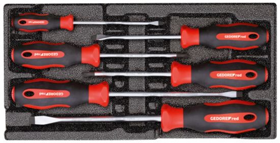 Afbeeldingen van Gedore schuimmodule schroevendraaierset sl/ph 6dlg 1/3 R22150013