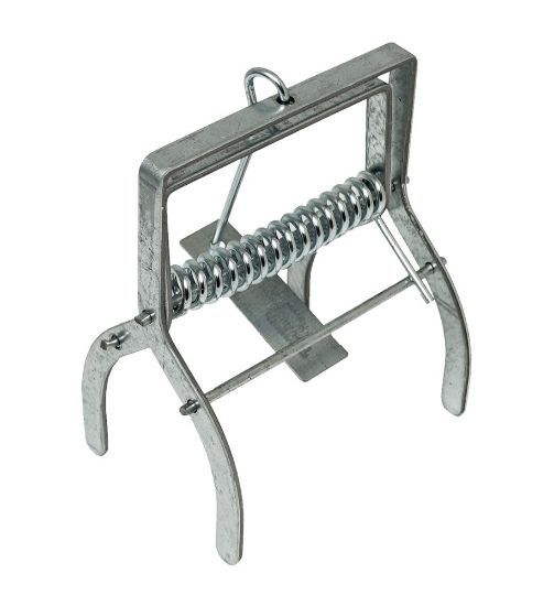 Afbeeldingen van Talpex mollenklem