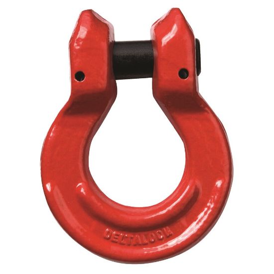 Afbeeldingen van Deltalock omega schalm gaffel           Grade80 3.2T