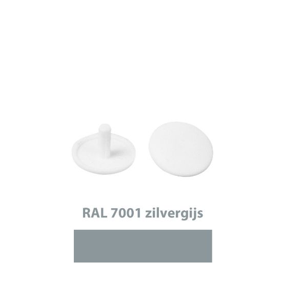 Afbeeldingen van Afdekkap/kopboringschroef ral7001 12mm  zilvergrijs