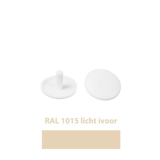 Afbeeldingen van Afdekkap/kopboringschroef ral1015 12mm  licht ivoor