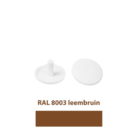 Afbeeldingen van Afdekkap/kopboringschroef ral8003 12mm  leembruin